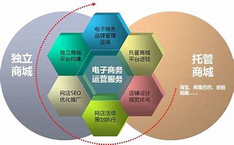 在线零售商是什么意思？让我们通过案例解读来深入理解。